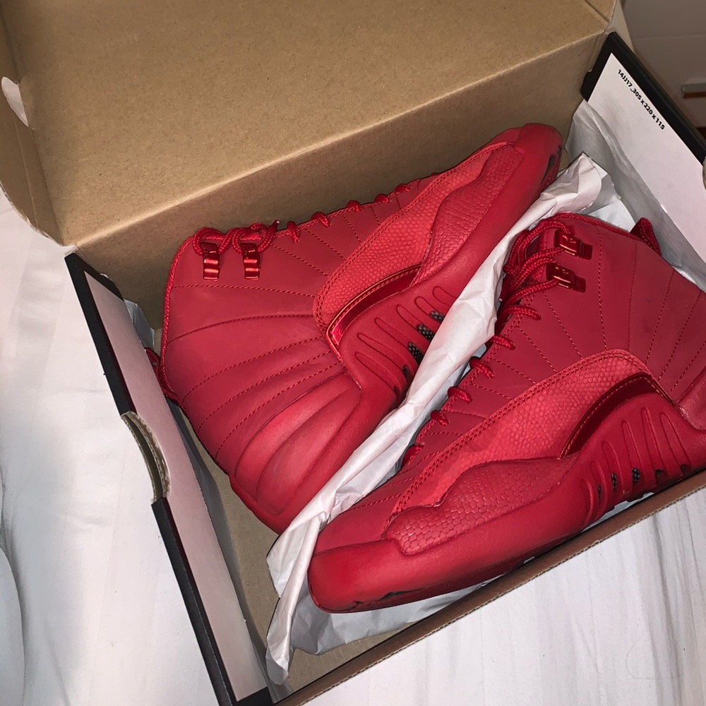 Air Jordan 12 retro